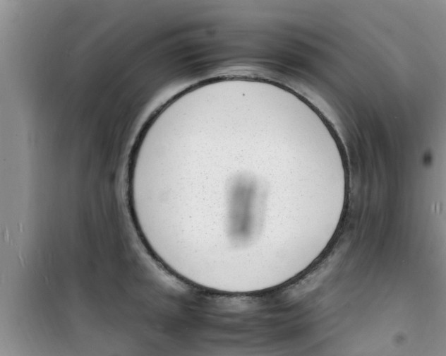 X0000100981045200807221229