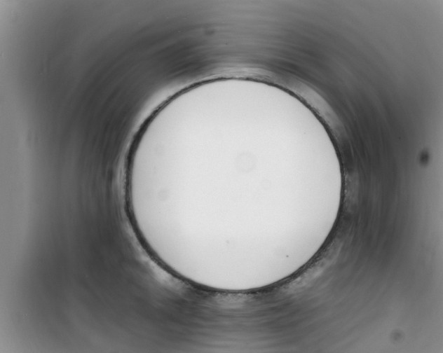 X0000100981046200807221229