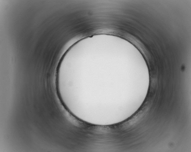 X0000100981050200807221229