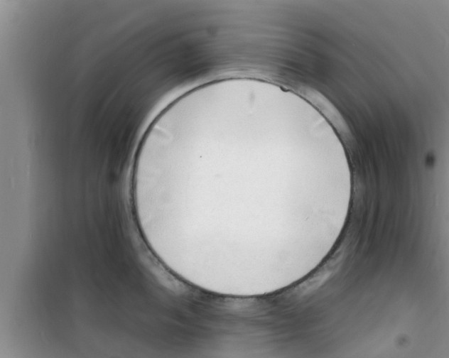 X0000100981052200807221229