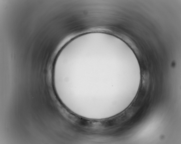 X0000100981054200807221229