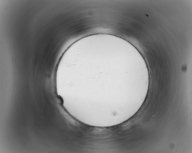 X0000100981056200807221229