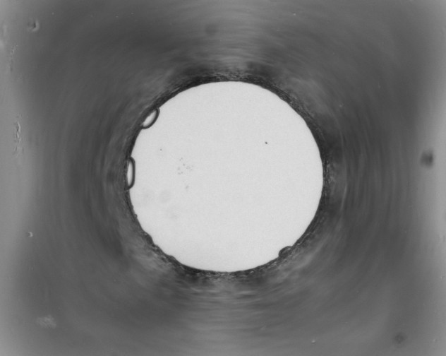 X0000100981057200807221228