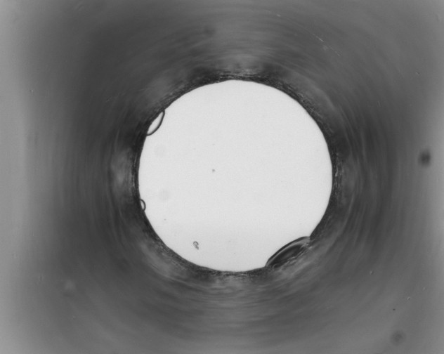 X0000100981058200807221228