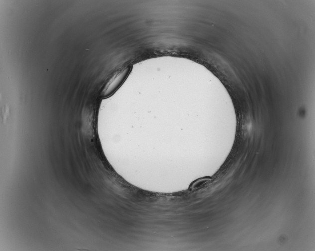 X0000100981060200807221228