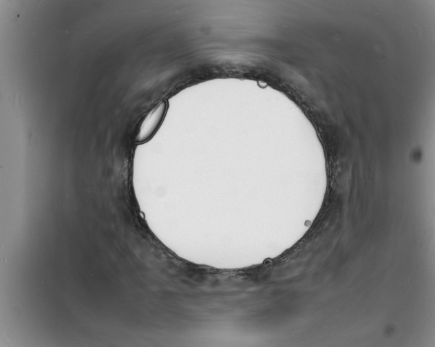 X0000100981061200807221228