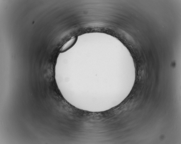 X0000100981062200807221228