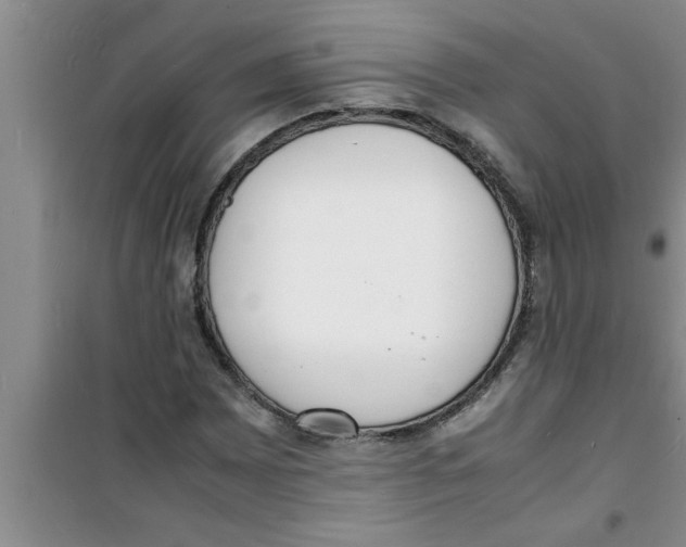 X0000100981065200807221228