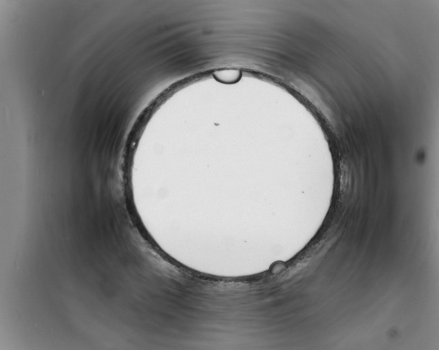 X0000100981068200807221228