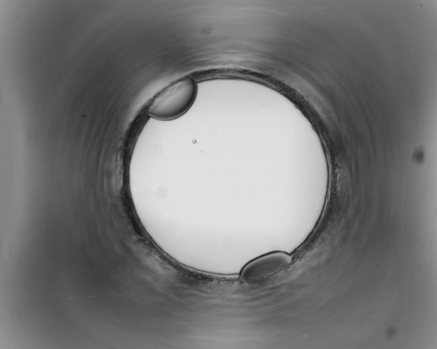 X0000100981069200807221228