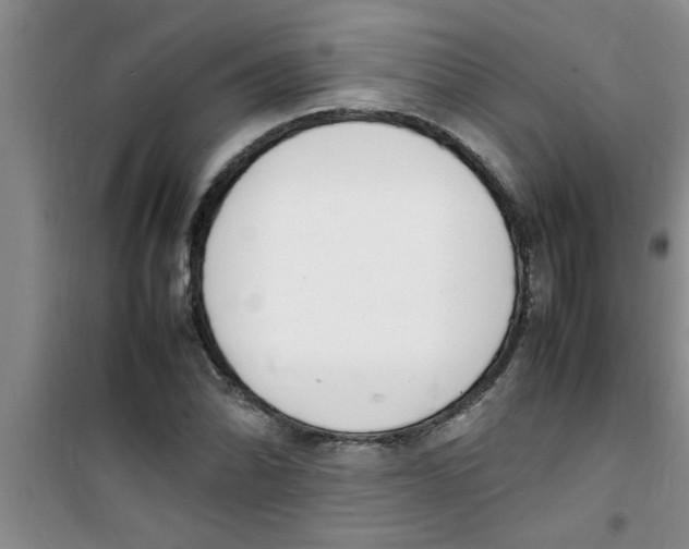 X0000100981070200807221228