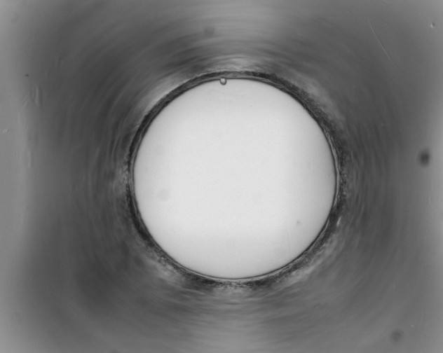 X0000100981073200807221228