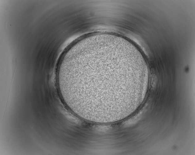 X0000100981074200807221228