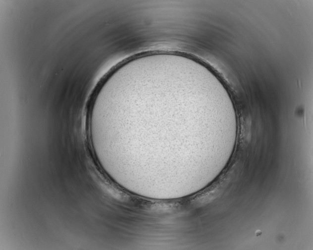 X0000100981078200807221228