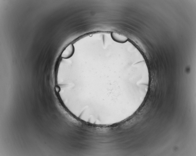 X0000100981080200807221228