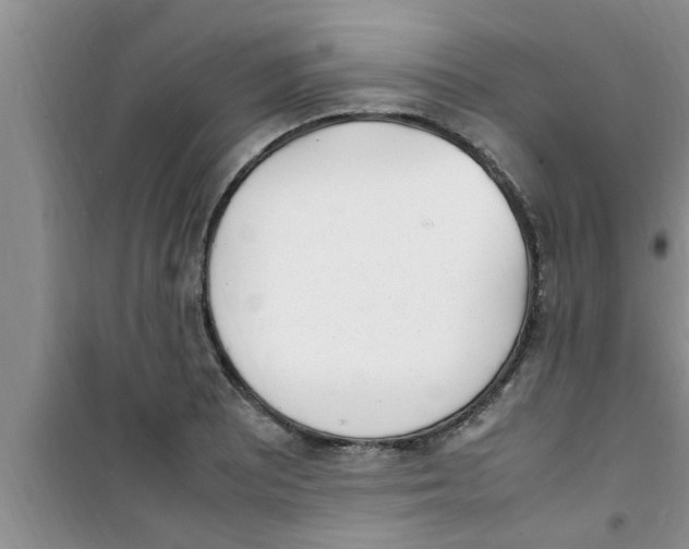 X0000100981081200807221228