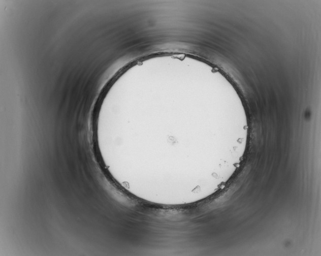 X0000100981082200807221228