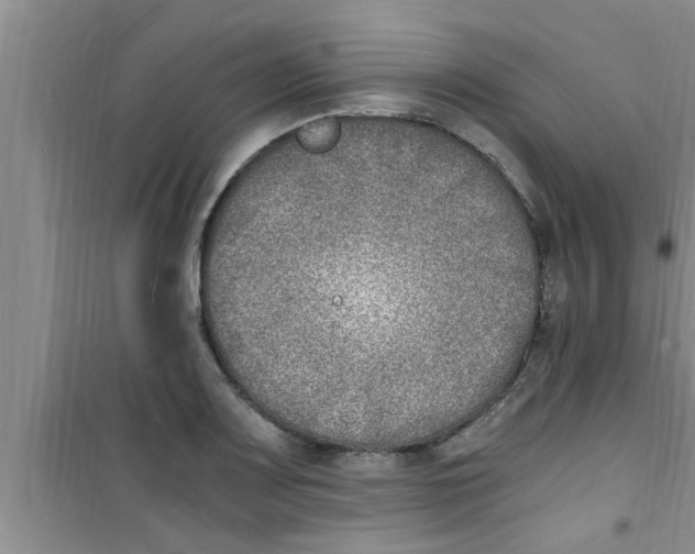 X0000100981083200807221228