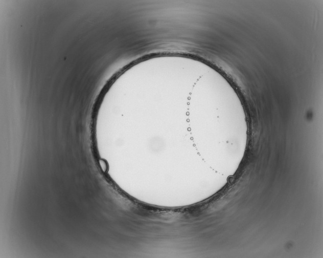 X0000100981085200807221228