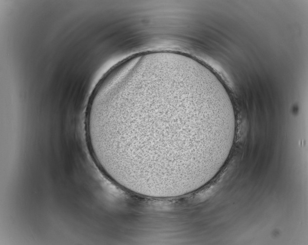 X0000100981086200807221228