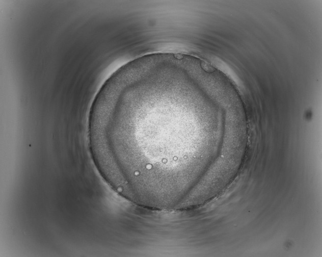 X0000100981087200807221228