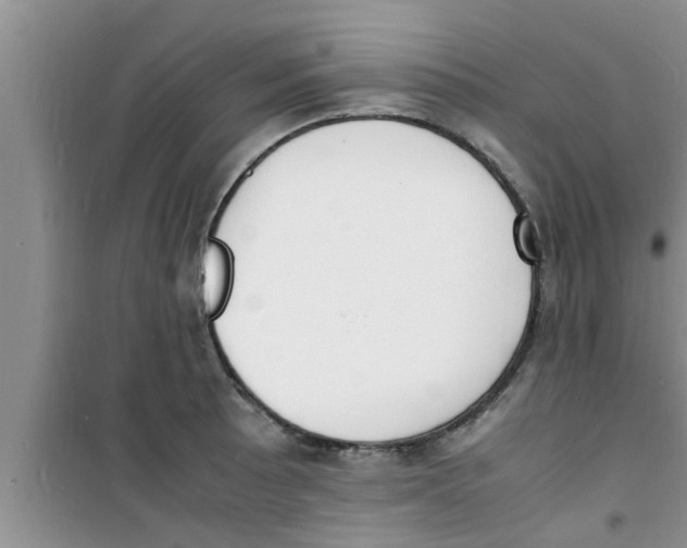 X0000100981089200807221228