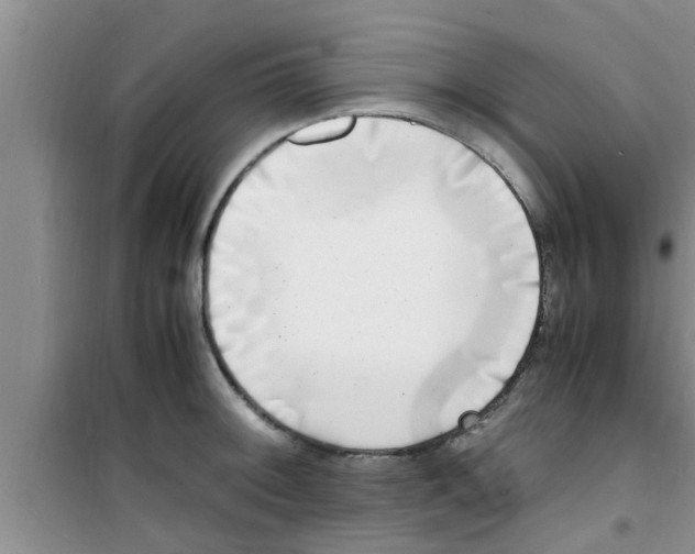 X0000100981092200807221228