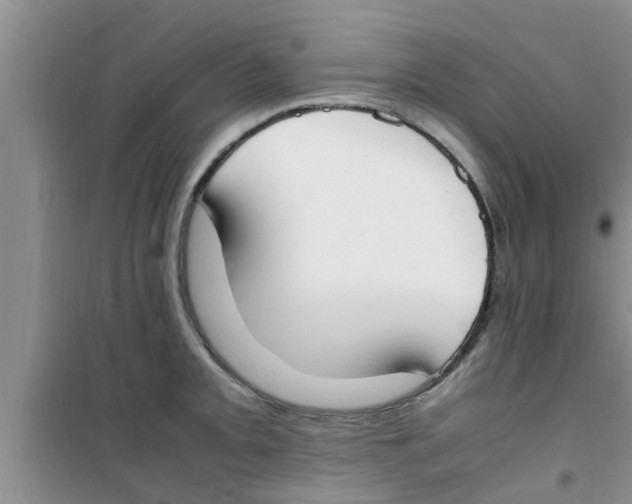 X0000100981093200807221228