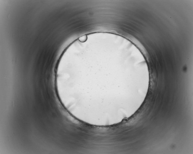 X0000100981096200807221227