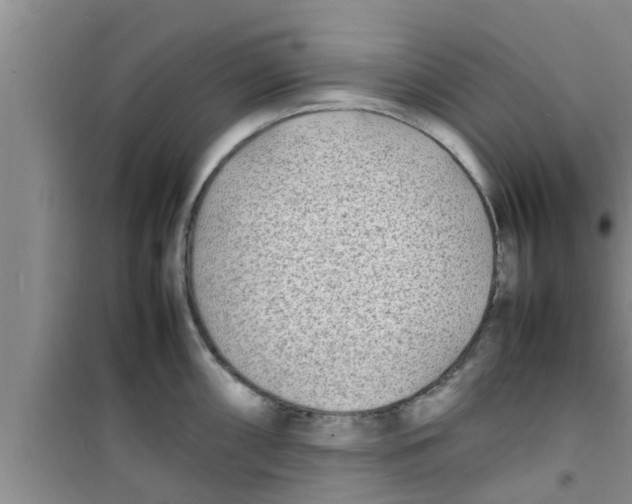 X0000100981098200807221227