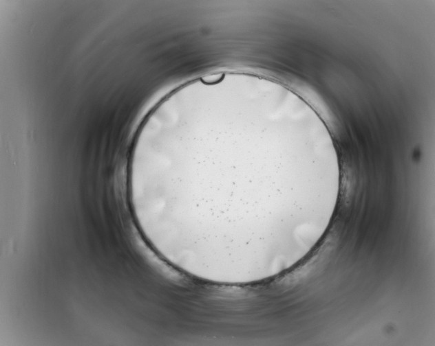 X0000100981100200807221227