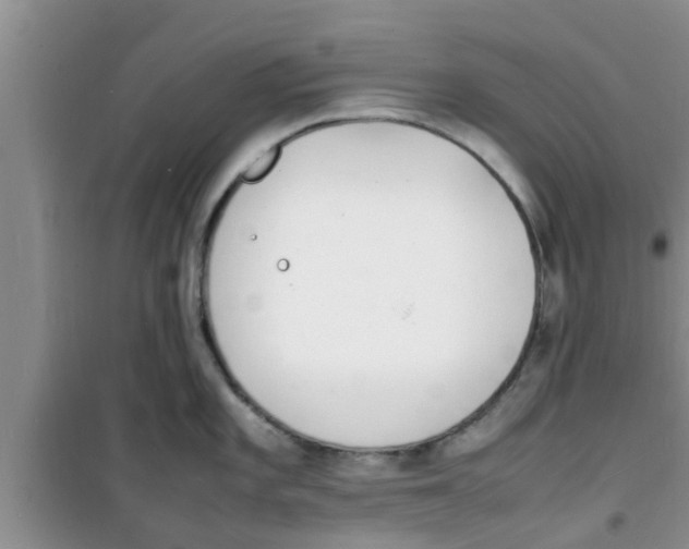 X0000100981101200807221227