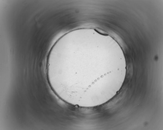 X0000100981103200807221227