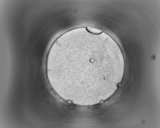 X0000100981104200807221227