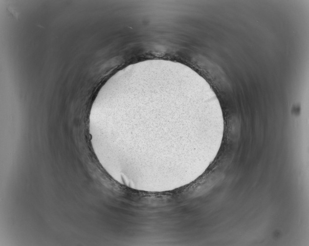 X0000100981105200807221227