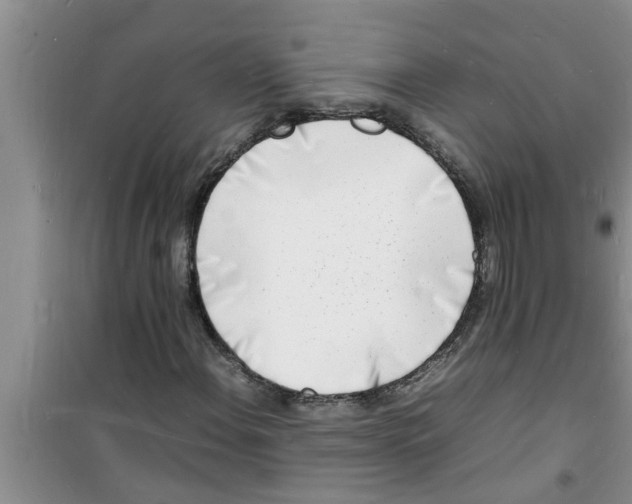 X0000100981108200807221227