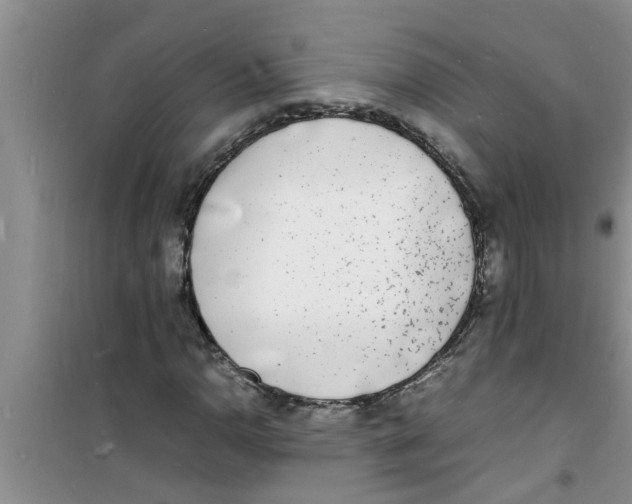 X0000100981110200807221227