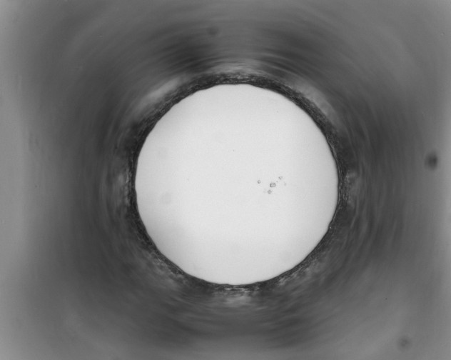 X0000100981111200807221227