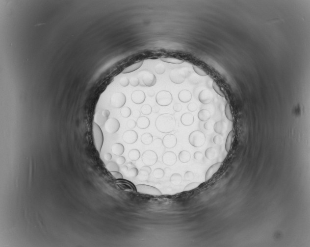 X0000100981112200807221227