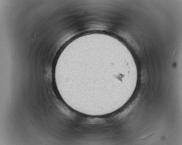 X0000100981113200807221227