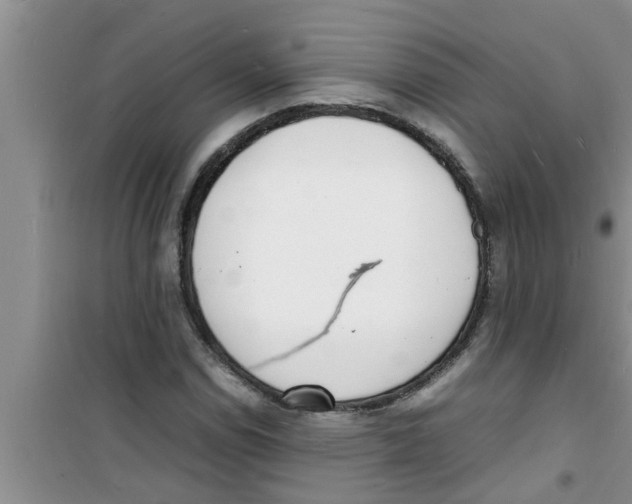 X0000100981114200807221227