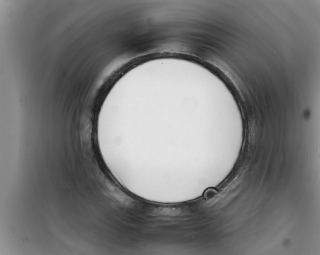 X0000100981115200807221227