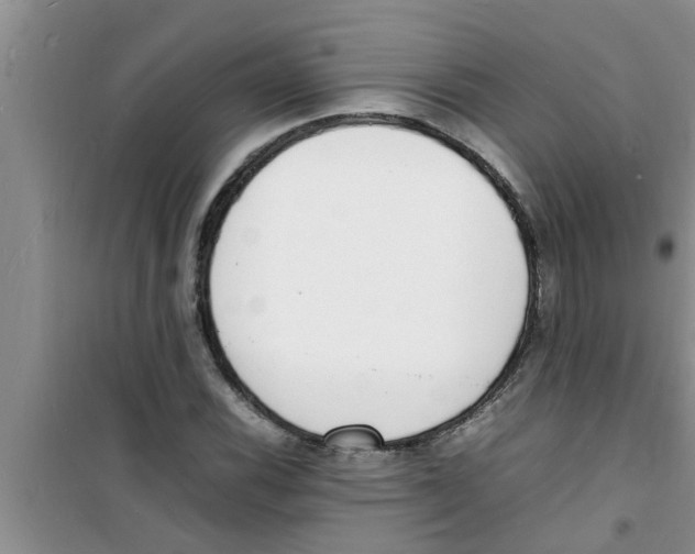 X0000100981116200807221227