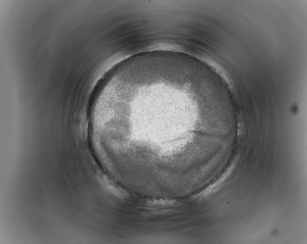 X0000100981117200807221227