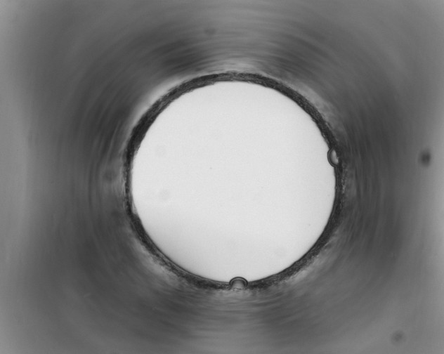 X0000100981118200807221227