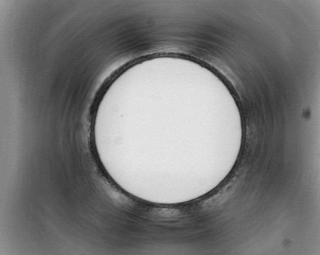 X0000100981119200807221227