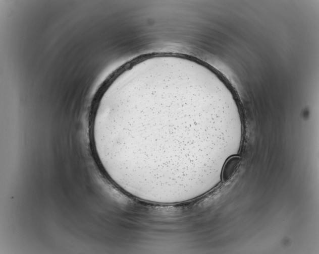 X0000100981120200807221227