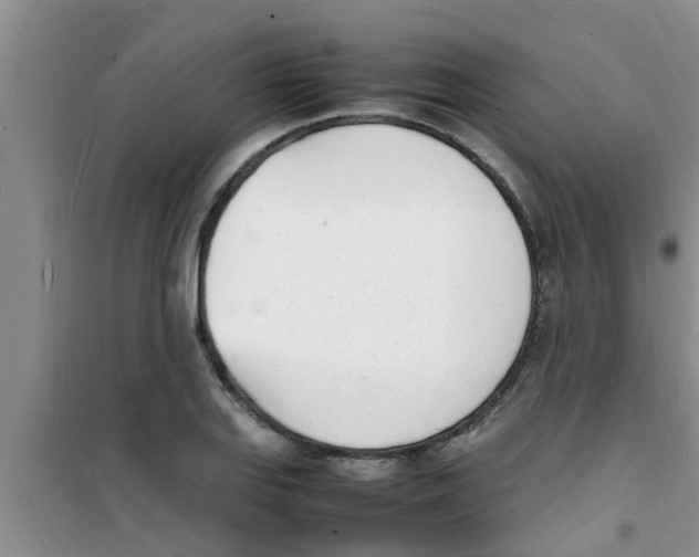 X0000100981127200807221227