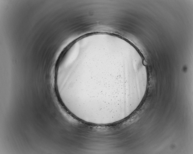 X0000100981128200807221227