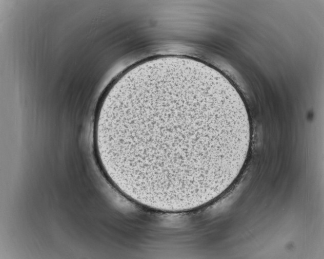 X0000100981130200807221227